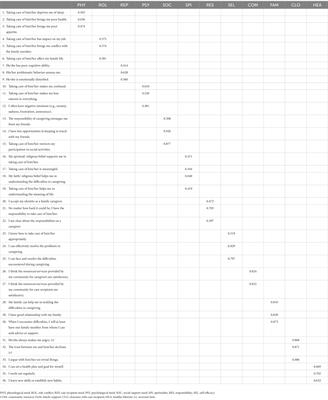 Development and validation of the caregiver needs and resources assessment